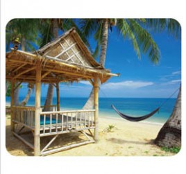 Podloga za miš Omega razni mot