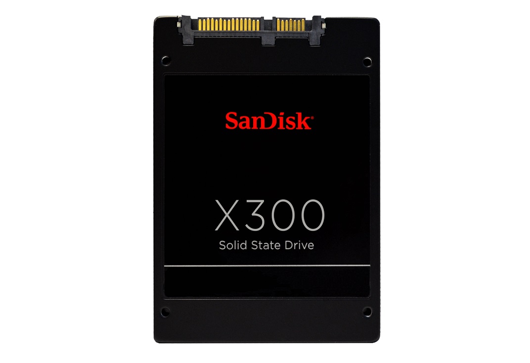 SSD SanDisk X300 256GB
