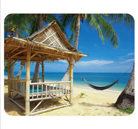 Podloga za miš Omega razni mot